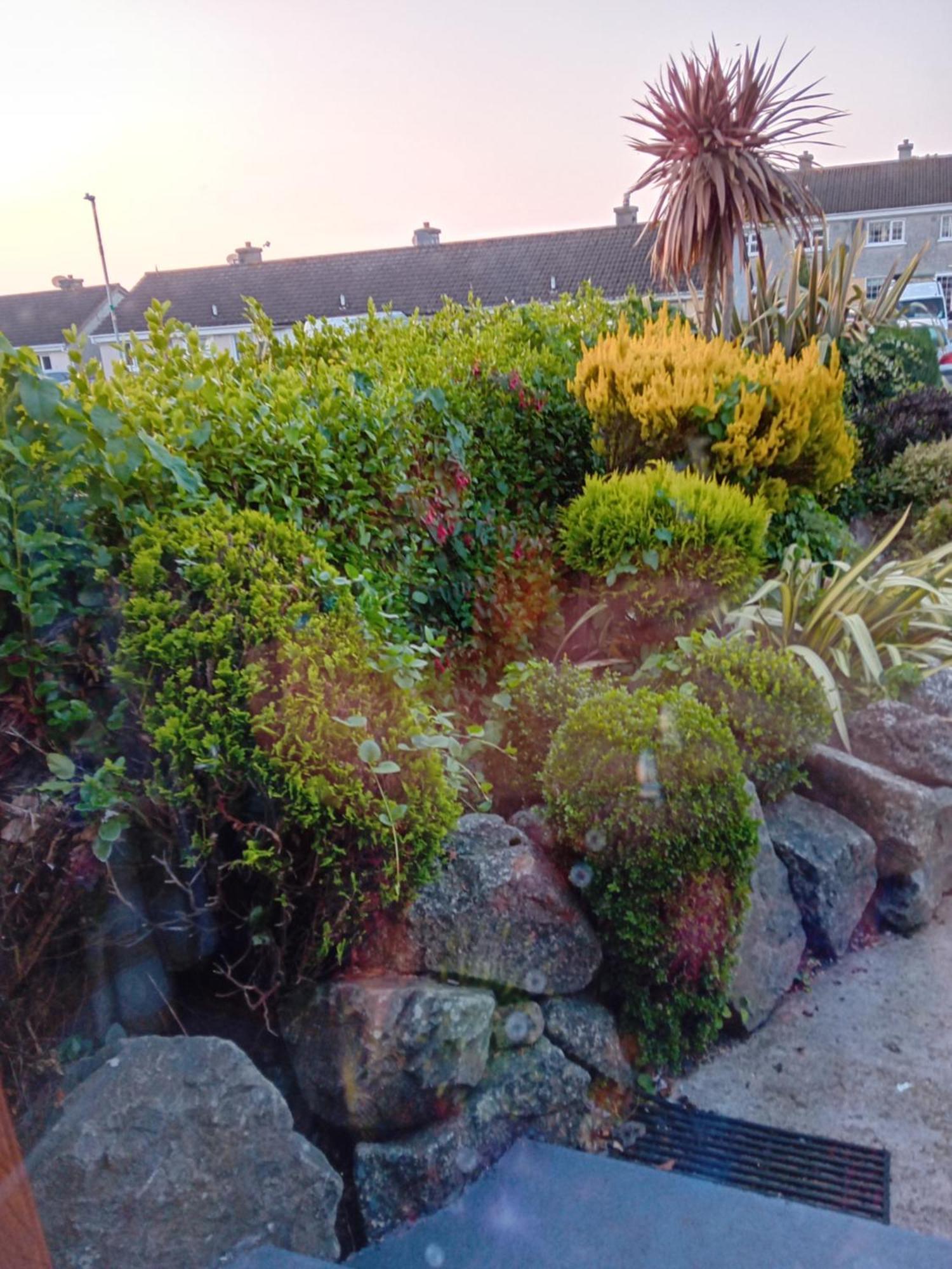 56 Lower Mount Carmel New Ross Esterno foto